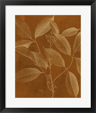 Framed Modern Botany VI Print