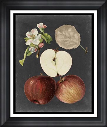 Framed Midnight Harvest I Print