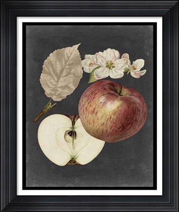 Framed Midnight Harvest II Print