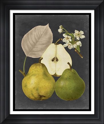 Framed Midnight Harvest III Print