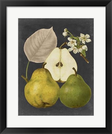 Framed Midnight Harvest III Print