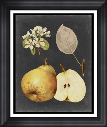 Framed Midnight Harvest IV Print