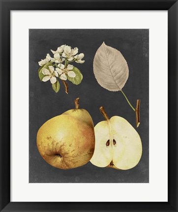 Framed Midnight Harvest IV Print
