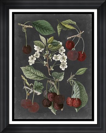 Framed Orchard Varieties I Print