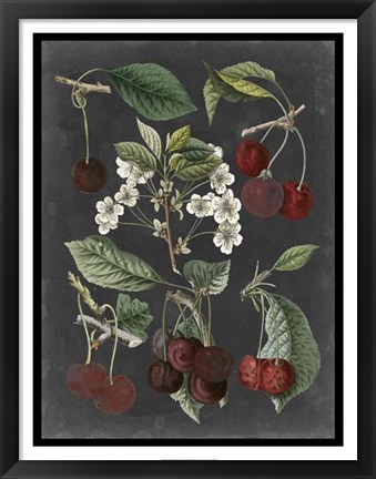 Framed Orchard Varieties I Print