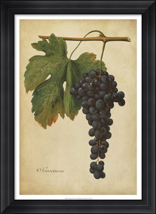 Framed Vintage Vines I Print