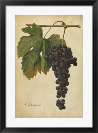 Framed Vintage Vines I Print