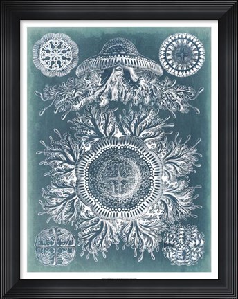 Framed Sealife Blueprint I Print