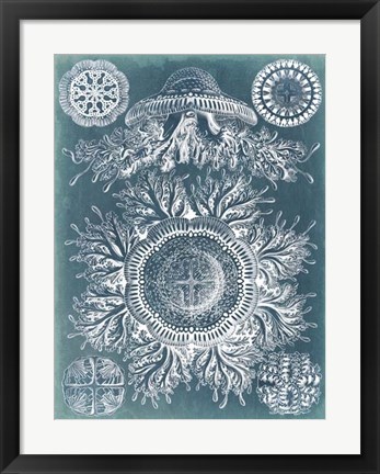 Framed Sealife Blueprint I Print