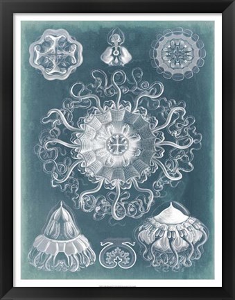 Framed Sealife Blueprint II Print