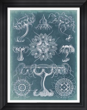 Framed Sealife Blueprint III Print