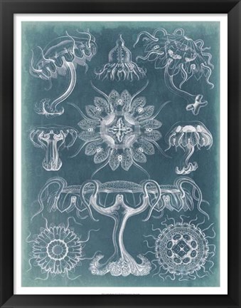 Framed Sealife Blueprint III Print