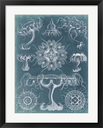 Framed Sealife Blueprint III Print