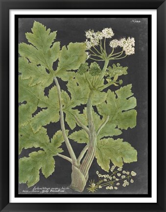 Framed Dramatic Weinmann Greenery I Print