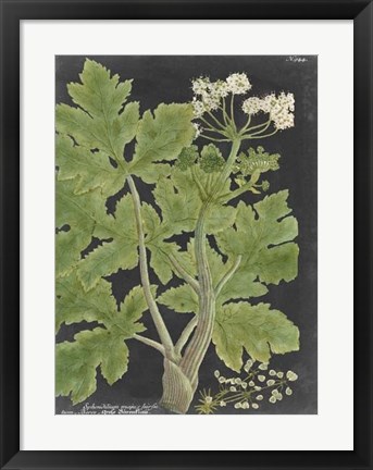 Framed Dramatic Weinmann Greenery I Print