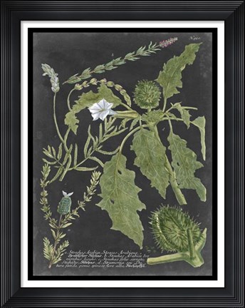 Framed Dramatic Weinmann Greenery II Print