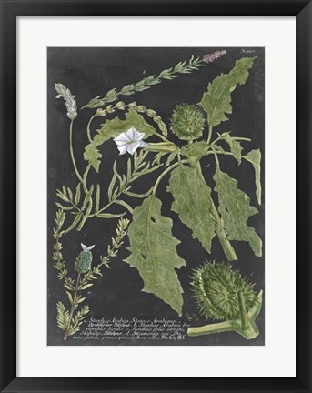 Framed Dramatic Weinmann Greenery II Print