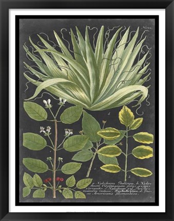 Framed Dramatic Weinmann Greenery IV Print