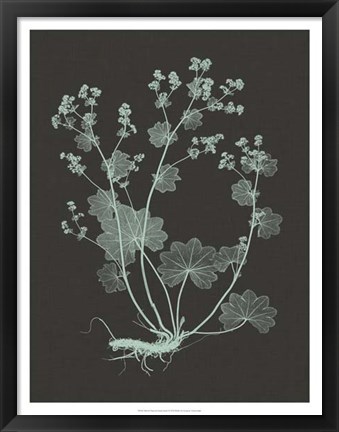 Framed Mint &amp; Charcoal Nature Study I Print