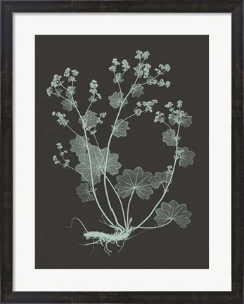 Framed Mint &amp; Charcoal Nature Study I Print