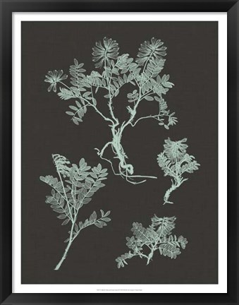 Framed Mint &amp; Charcoal Nature Study II Print