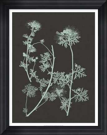 Framed Mint &amp; Charcoal Nature Study IV Print