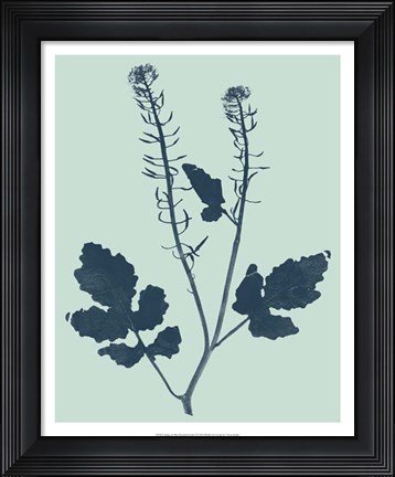 Framed Indigo &amp; Mint Botanical Study I Print