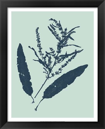 Framed Indigo &amp; Mint Botanical Study IV Print