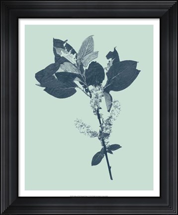 Framed Indigo &amp; Mint Botanical Study V Print