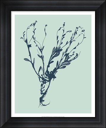 Framed Indigo &amp; Mint Botanical Study VI Print