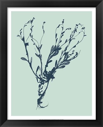 Framed Indigo &amp; Mint Botanical Study VI Print