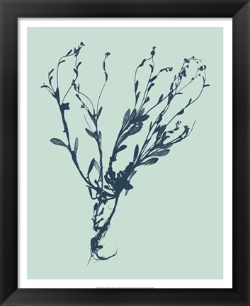 Framed Indigo &amp; Mint Botanical Study VI Print