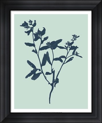 Framed Indigo &amp; Mint Botanical Study VII Print