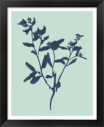 Framed Indigo &amp; Mint Botanical Study VII Print