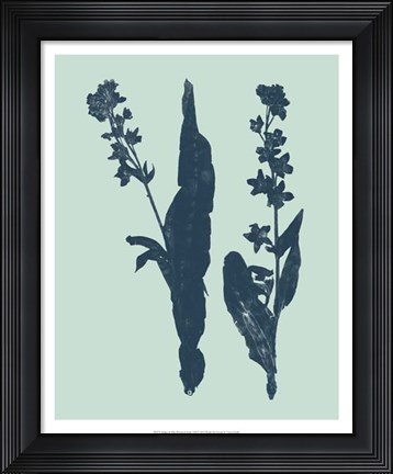 Framed Indigo &amp; Mint Botanical Study VIII Print