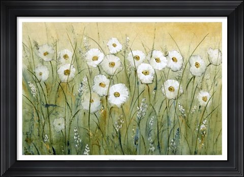 Framed Daisy Spring I Print