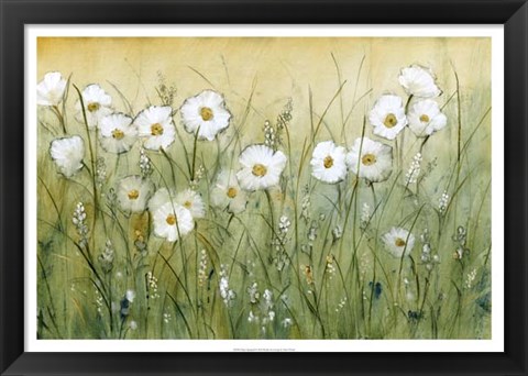 Framed Daisy Spring II Print