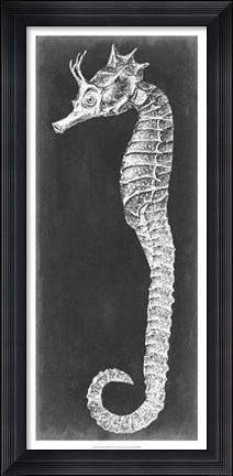 Framed Seahorse Blueprint I Print