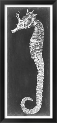 Framed Seahorse Blueprint I Print