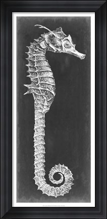 Framed Seahorse Blueprint II Print