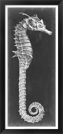 Framed Seahorse Blueprint II Print