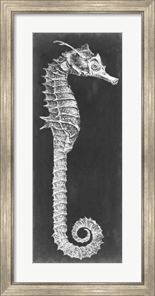 Framed Seahorse Blueprint II Print