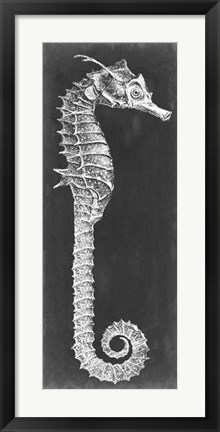 Framed Seahorse Blueprint II Print