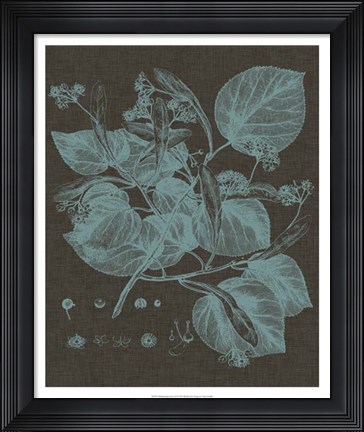 Framed Shimmering Leaves II Print