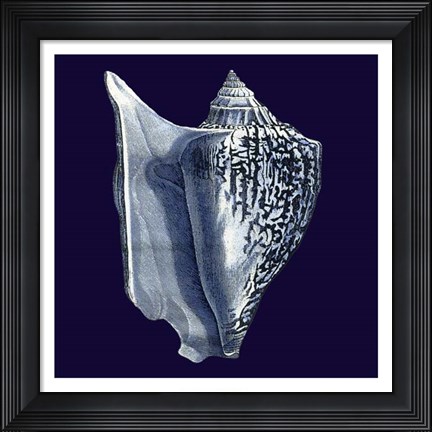 Framed Indigo Shells I Print