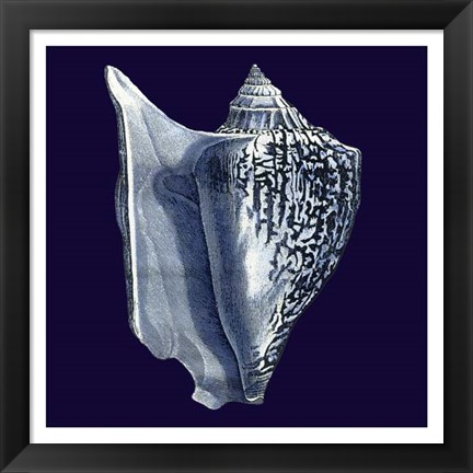 Framed Indigo Shells I Print