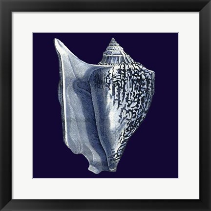 Framed Indigo Shells I Print