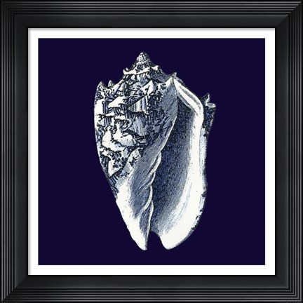 Framed Indigo Shells II Print