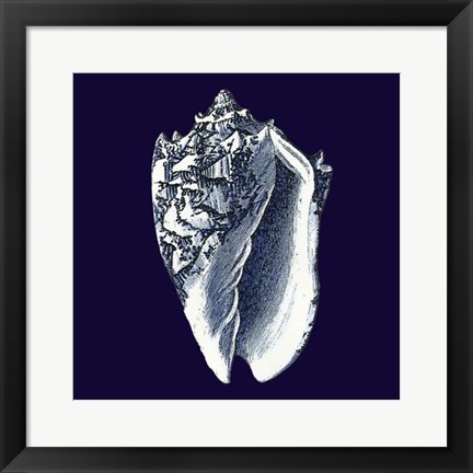 Framed Indigo Shells II Print