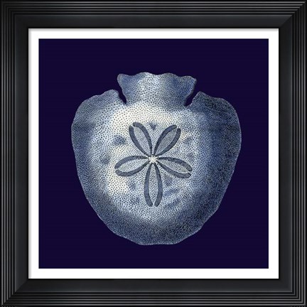 Framed Indigo Shells III Print